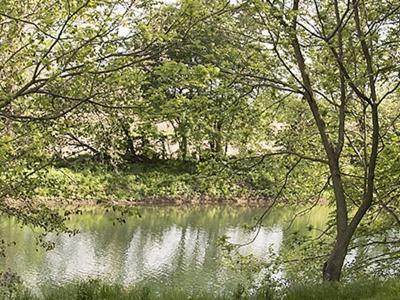 Bed & Breakfast River Bluff Farm 3*